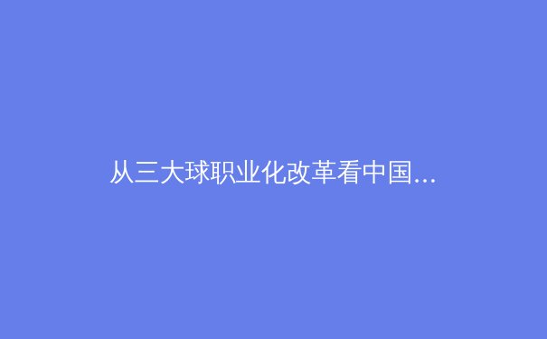 从三大球职业化改革看中国体育产业化进程的机遇与挑战